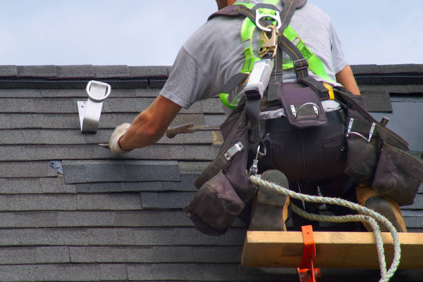 Best Green or Eco-Friendly Roofing Solutions  in Litchfield, MI